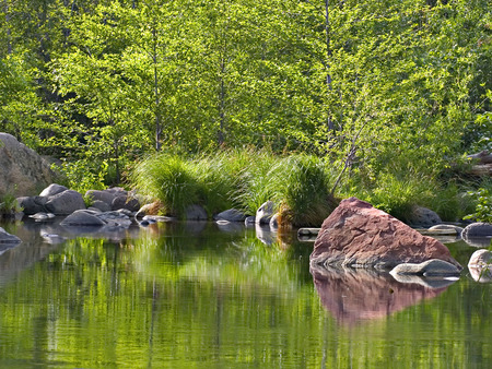 lakes - trees, rocks