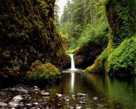 Punchbowl Falls - lake, falls, trees, brush