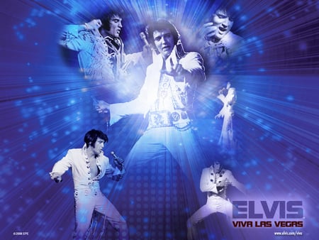 Viva Las Vagas Wallpaper elvis presley 5934870 1024 768 - elvis, fans, popular, music