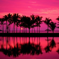 Fantasy Island