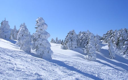 Snow In France - photography, abstract, snow