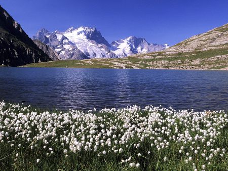 Lake Goleon and La Meije Oisans Massif France - lake, landscape, mountain