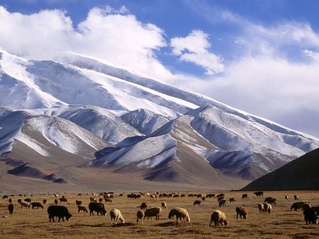 Muztagh Tower Peak Xinjiang Province China - landscape, mountain, sky