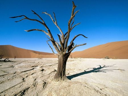 NamibNaukluft Park Namib Desert Namibia Africa - fields, landscape