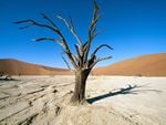 NamibNaukluft Park Namib Desert Namibia Africa