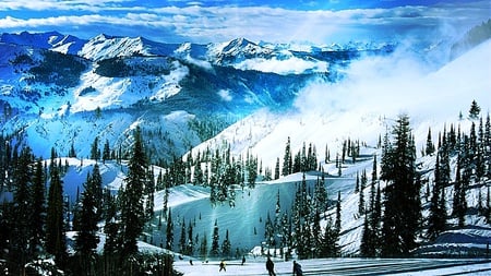 Skiing Season - beauty, cool, blue, breezing