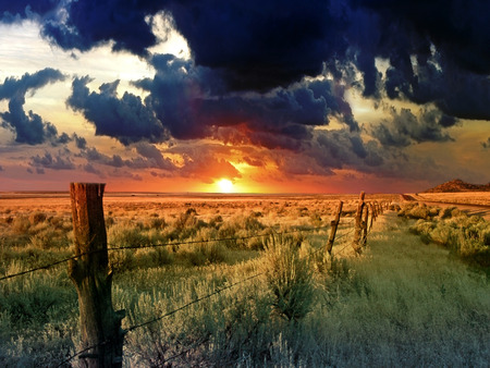 Sunset on Green Desert - warm, awesome, nice, beauty, lovely, cool