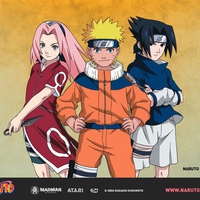 naruto friends