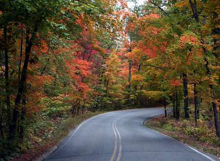 nature - orange, red, green and yellow