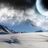 dreams