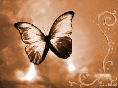 Copper Butterfly