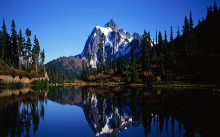 WINTER NATURE - ice, calm, lake, trees, mountain, pine, snowy