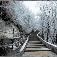 Evening winter fairy tale... In the park of the Monastery