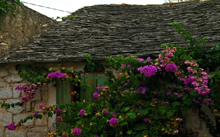 Supetar island of Brac - flowers, house, wall