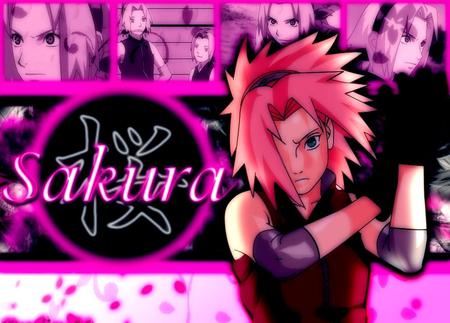 Sakura - sakura, naruto, anime, sakura haruno