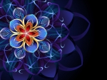 Abstract flower