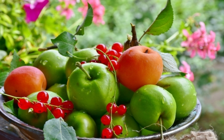 Fruits - summer, red, green, berry, fruit, orange, apple, vara