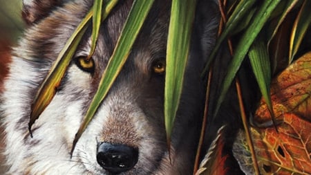 Fall Wolf - wolf, autumn, wild, eyes, leaves, loup, firefox theme