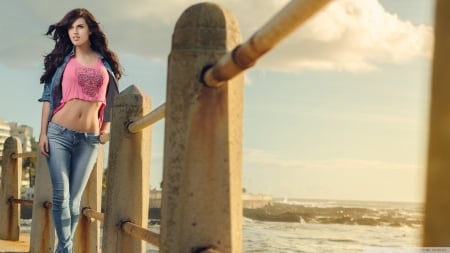 at the beach - girl, fence, brunette, beach