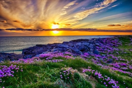 A beautiful sunset at Tangasdale Beach - wildflowers, sunset, coast, beach, beautiful, sea, fiery, sky