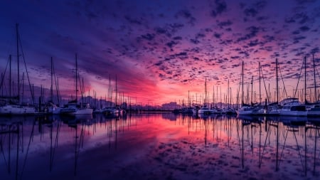 Marina Reflection - nature, sky, boats, reflection, pink, clouds, dock, dusk