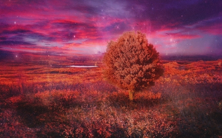 Autumn Glow - stars, sky, landscape, clouds, tree, colors