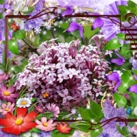 FRAMED LILACS