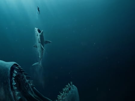 The Meg 2018 - water, poster, blue, movie, shark, the meg, ocean