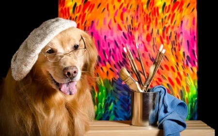 :-) - hat, colorful, animal, funny, dog, caine, golden retriever