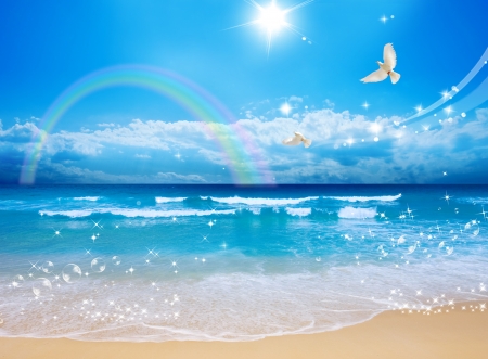 :-) - rainbow, beach, vara, dove, sun, water, summer, wave, fantasy, pasare, bird, cloud, luminos, blue, sea