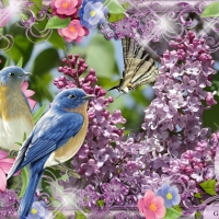 LILACS AND BIRDS