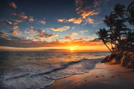 Sunrise over the beach - palm trees, morning, beach, waves, paradise