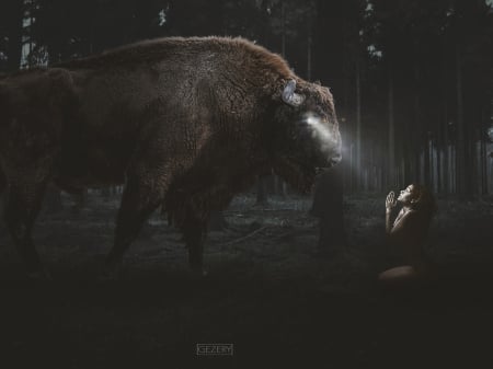 Mercy - fantasy, animal, buffalo, girl, night, forest, creative, dark