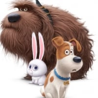 The Secrete Life of Pets