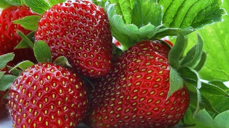 strawberry - strawberry, delicous, fruits, red