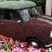 A Mini covered in flowers at the 2012 Chelsea Flower Show