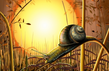 :-) - vector, yellow, snail, sun, summer