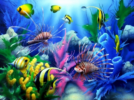 Fish - water, yellow, summer, blue, pink, coral, underwater, fish, vara, luminos