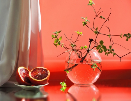 Still life - orange, twig, plate, vase, curtain