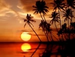 Tropical sunset