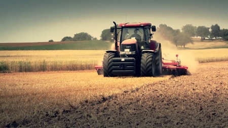 in the field - tractor, field, plow, case