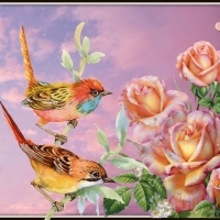 LITTLE BIRDS AND ROSES