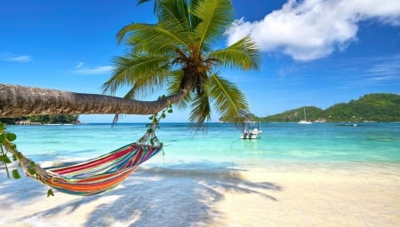 Beach - relaxing, beach, palms, island, sand