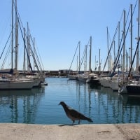 Marina in Gran Canaria