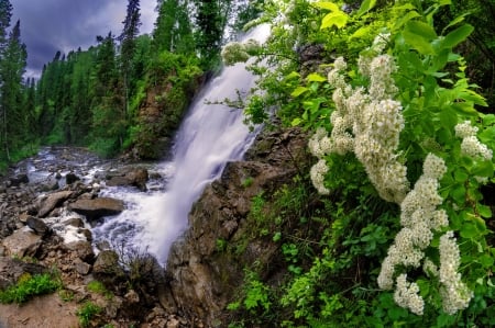 Waterfall - summer, beautiful, stream, spring, forest, mountain, stones, flowers, waterfall, plants, rocks