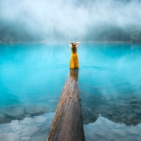 Woman Standing on a Log