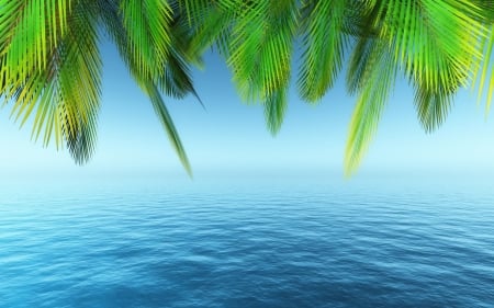 :-) - water, summer, sea, green, leaf, card, texture, vara, palm tree