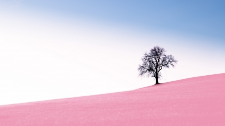 Tree - silhouette, blue, pink, simon matzinger, tree