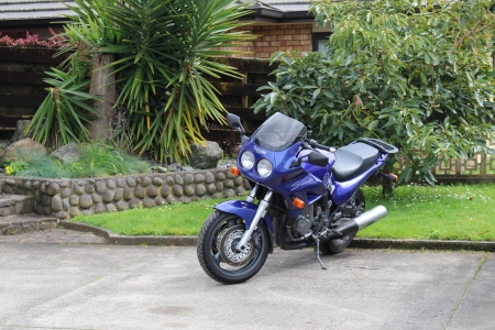 1995 Triumph Sprint 900cc Tripple