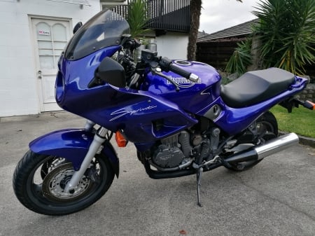 1995 Triumph Sprint 900cc Triple - racing, bikes, triumph, motorcycles